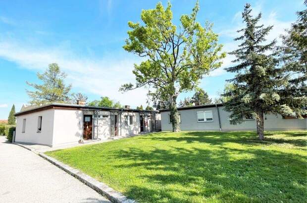 Wohnung mieten in 2522 Oberwaltersdorf (Bild 1)
