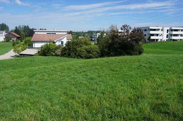 Grundstück kaufen in 4910 Ried (Bild 1)