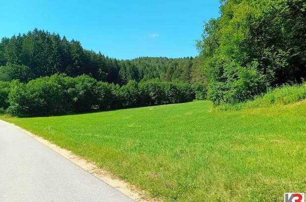 Gewerbeobjekt kaufen in 9150 Bleiburg (Bild 4)