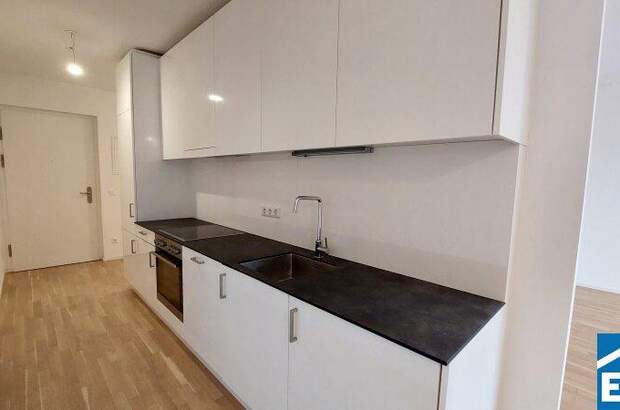 Terrassenwohnung mieten in 1100 Wien (Bild 1)