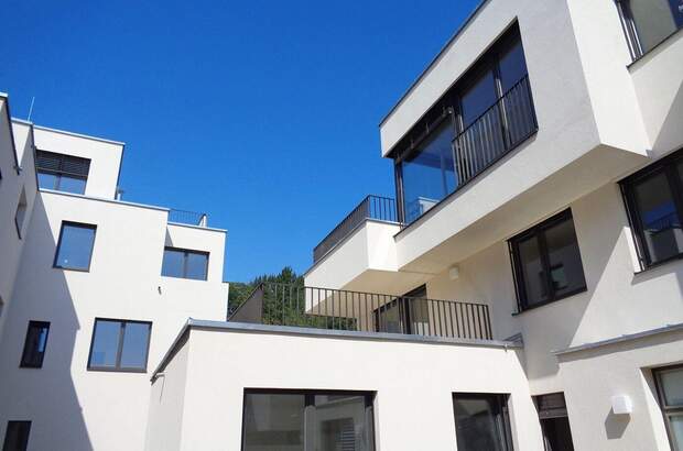 Wohnung mieten in 3400 Klosterneuburg (Bild 3)