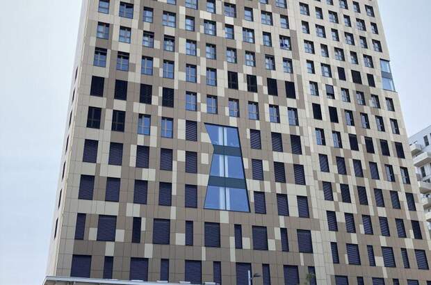 Gewerbeobjekt mieten in 1220 Wien (Bild 3)