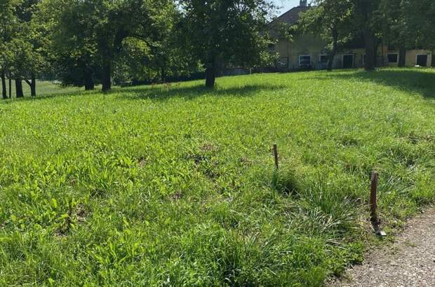 Grundstück kaufen in 4209 Engerwitzdorf (Bild 4)