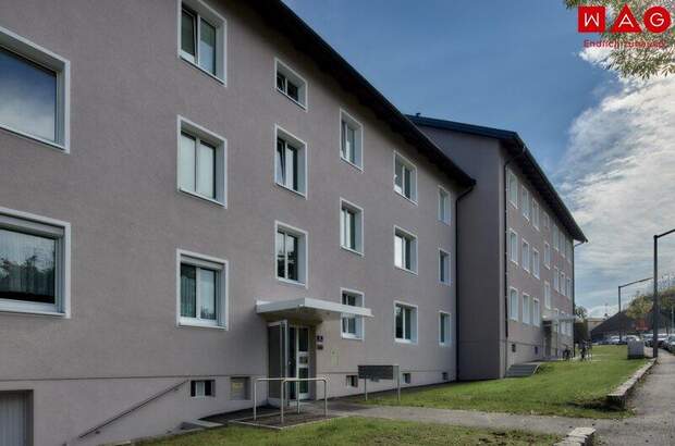 Wohnung mieten in 4910 Ried (Bild 2)