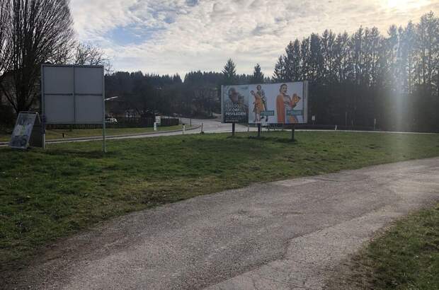 Gewerbeobjekt kaufen in 4760 Raab (Bild 2)