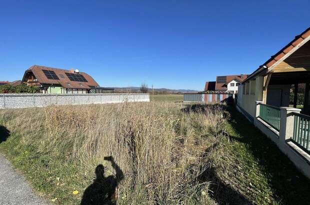 Grundstück kaufen in 3393 Matzleinsdorf (Bild 1)