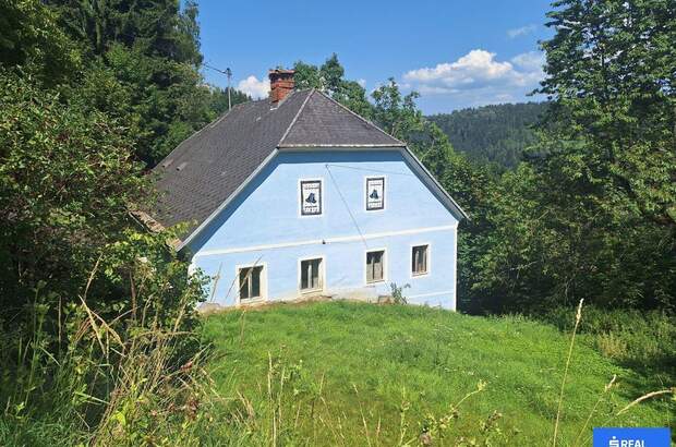 Gewerbeobjekt kaufen in 9433 St. Andrä (Bild 3)