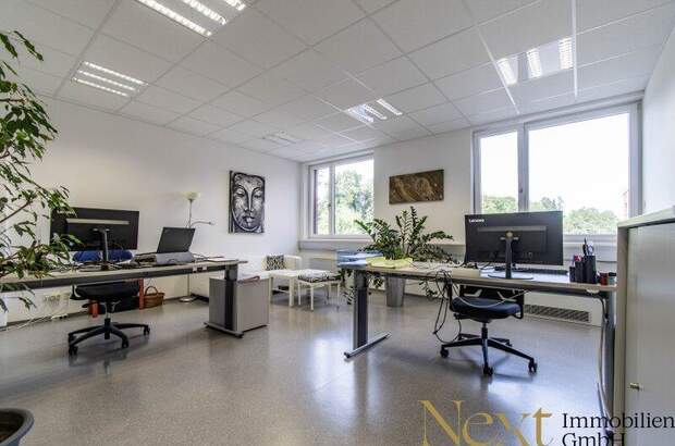 Büro / Praxis kaufen in 4710 Grieskirchen (Bild 4)