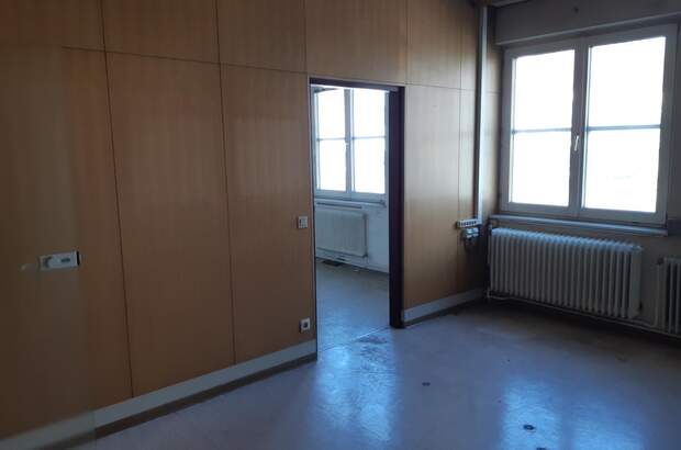 Büro / Praxis mieten in 3580 Horn (Bild 3)