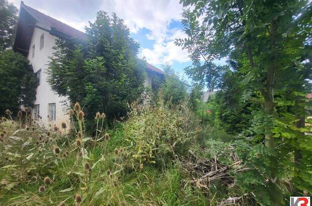 Haus mit Garten kaufen in 5261 Helpfau (Bild 4)