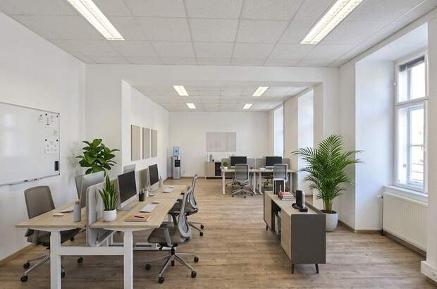 Gewerbeobjekt mieten in 1020 Wien (Bild 3)