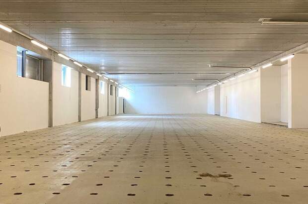 Gewerbeobjekt mieten in 1220 Wien (Bild 4)