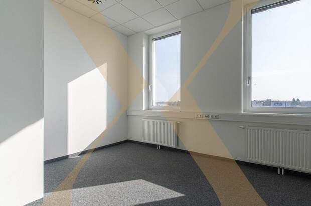 Gewerbeobjekt mieten in 4050 Traun (Bild 1)