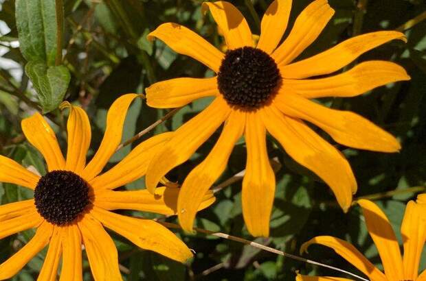 Haus kaufen in 3032 Eichgraben (Bild 5)