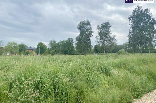 Grundstück kaufen in 7564 Dobersdorf (Bild 2)