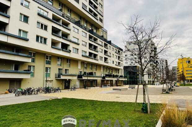Terrassenwohnung kaufen in 1230 Wien (Bild 3)