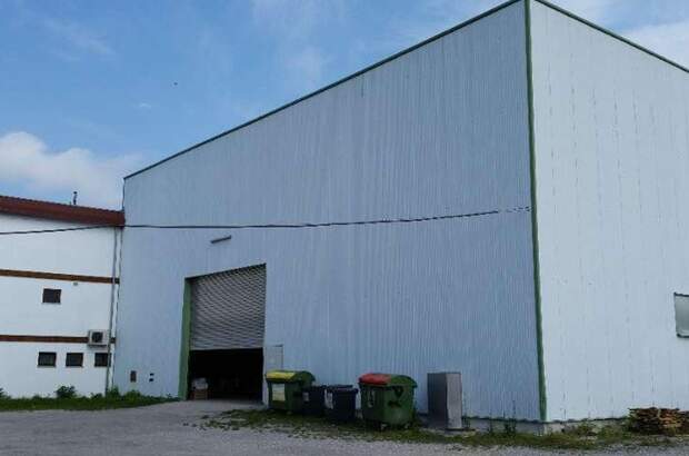 Gewerbeobjekt kaufen in 2700 Wiener Neustadt (Bild 4)