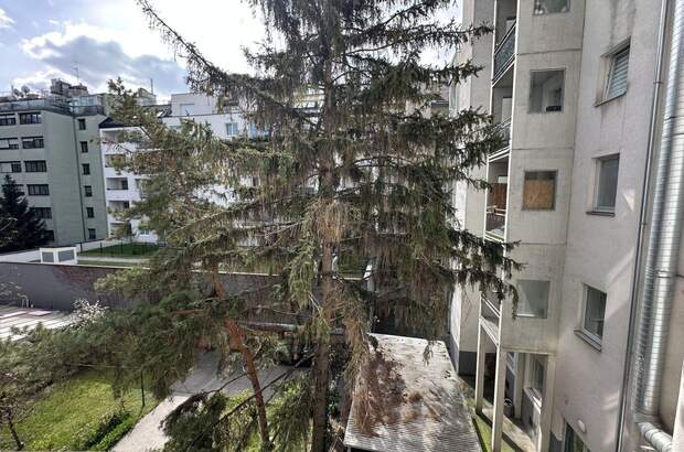 Altbauwohnung kaufen in 1100 Wien (Bild 3)