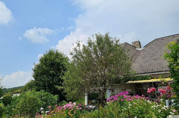 Haus mit Garten kaufen in 4020 Linz (Bild 4)