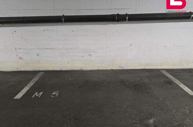 Immobilie mieten in 4050 Traun (Bild 2)