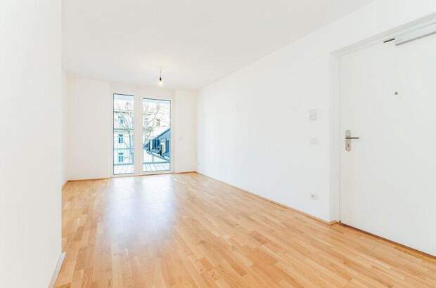 Terrassenwohnung mieten in 1060 Wien (Bild 5)