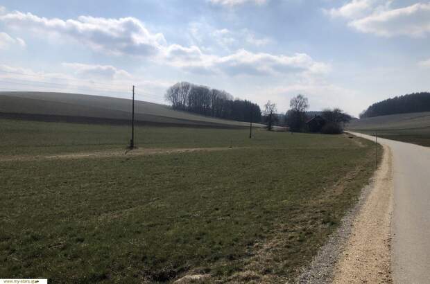 Gewerbeobjekt kaufen in 4941 Mehrnbach (Bild 1)