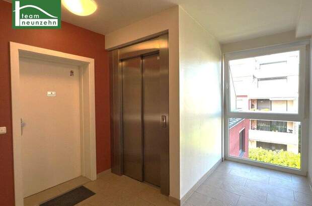 Terrassenwohnung mieten in 1190 Wien (Bild 5)