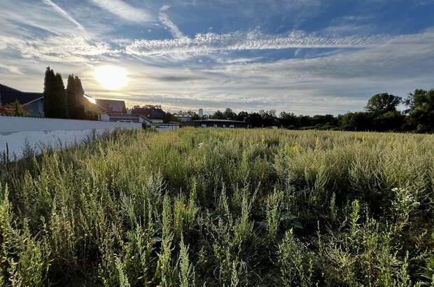 Grundstück kaufen in 4225 Luftenberg (Bild 2)