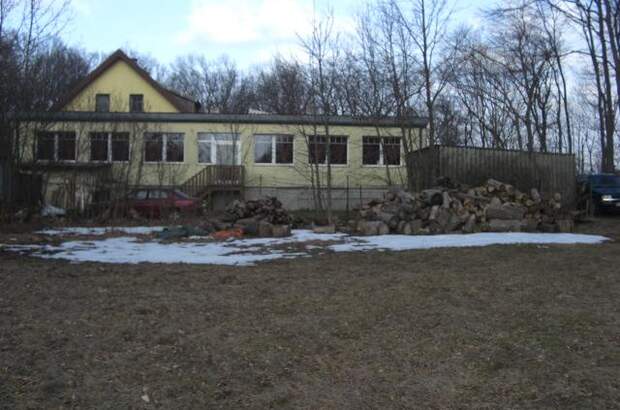 Einfamilienhaus kaufen in 2391 Kaltenleutgeben (Bild 4)