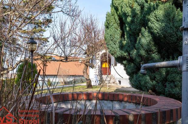 Haus mit Garten kaufen in 2451 Hof (Bild 3)