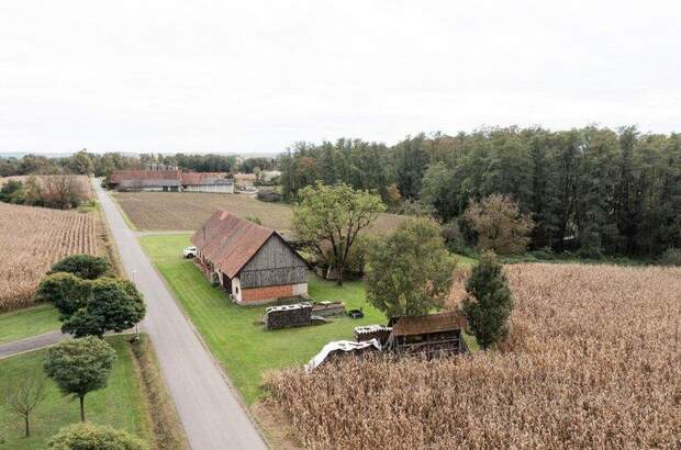 Bauernhaus kaufen in 8483 Deutsch Goritz (Bild 4)