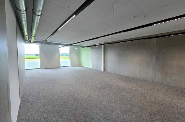 Gewerbeobjekt mieten in 4715 Taufkirchen (Bild 3)
