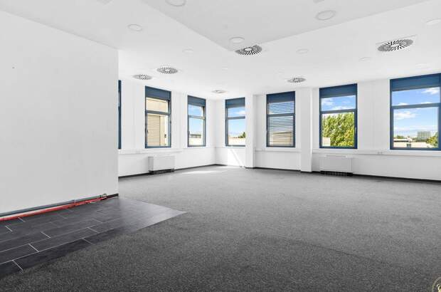 Gewerbeobjekt mieten in 1230 Wien (Bild 4)
