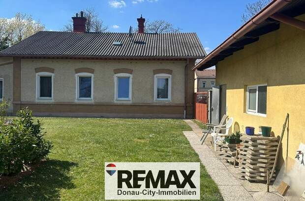 Einfamilienhaus kaufen in 2602 Blumau (Bild 4)