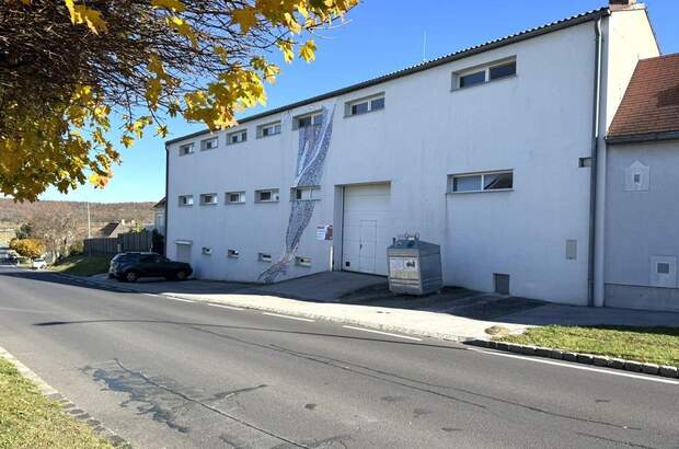 Haus mit Garten kaufen in 7053 Hornstein (Bild 1)