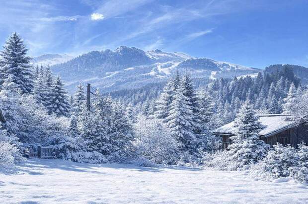 Grundstück kaufen in 6370 Kitzbühel (Bild 4)