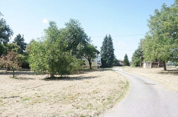 Gewerbeobjekt kaufen in 4912 Neuhofen (Bild 2)