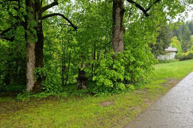 Grundstück kaufen in 8635 Gollrad (Bild 4)