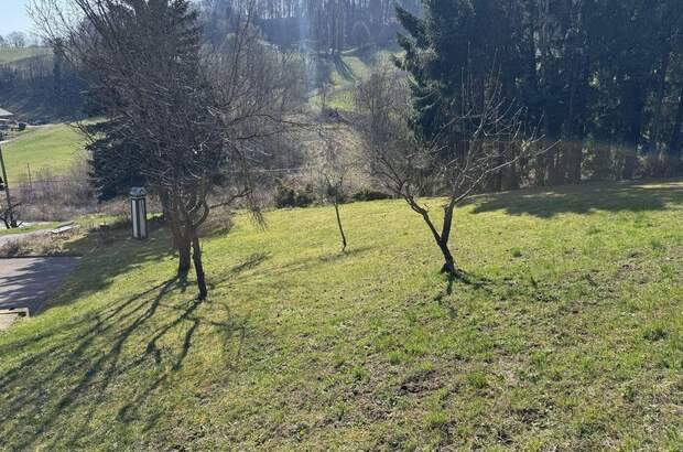 Haus mit Garten mieten in 8472 Spielfeld (Bild 5)