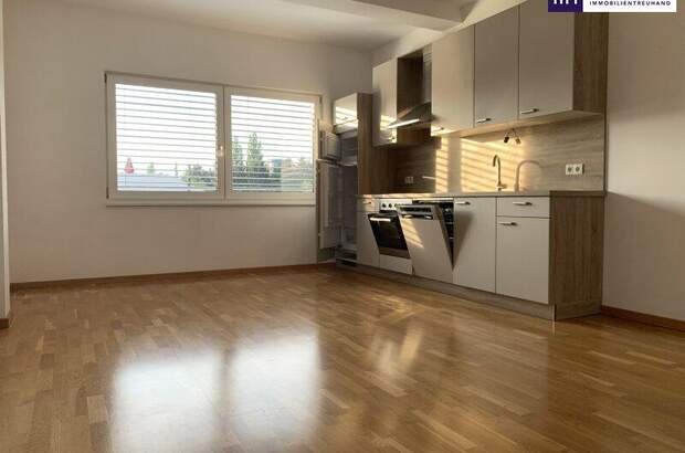 Terrassenwohnung mieten in 8041 Graz (Bild 1)