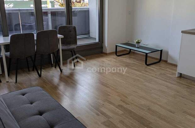 Wohnung mieten in 2700 Wiener Neustadt (Bild 5)