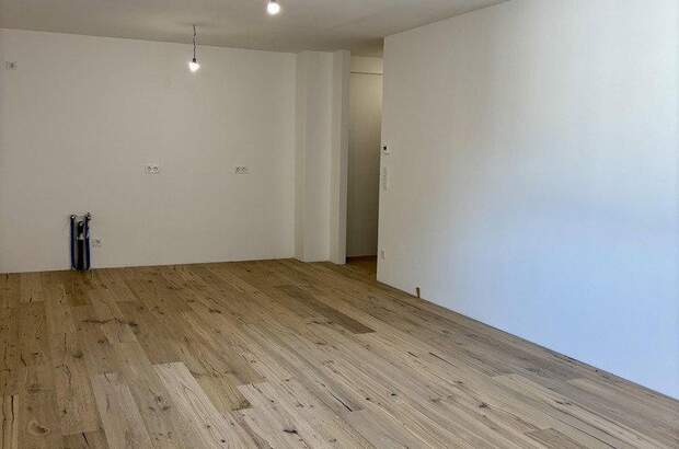 Terrassenwohnung mieten in 1190 Wien (Bild 1)