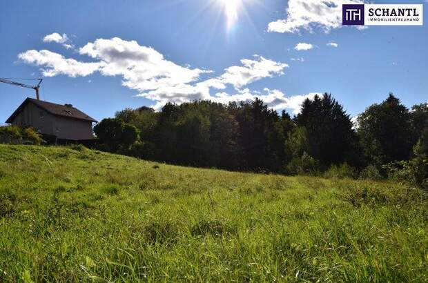 Grundstück kaufen in 8301 Laßnitzhöhe (Bild 3)