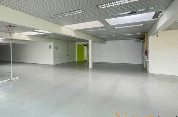 Gewerbeobjekt mieten in 4061 Pasching (Bild 4)