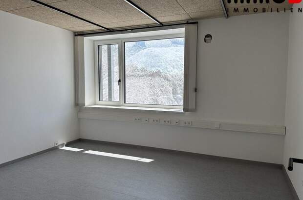 Gewerbeobjekt mieten in 4210 Gallneukirchen (Bild 5)