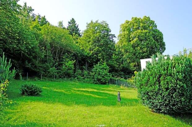 Grundstück kaufen in 3021 Pressbaum (Bild 4)