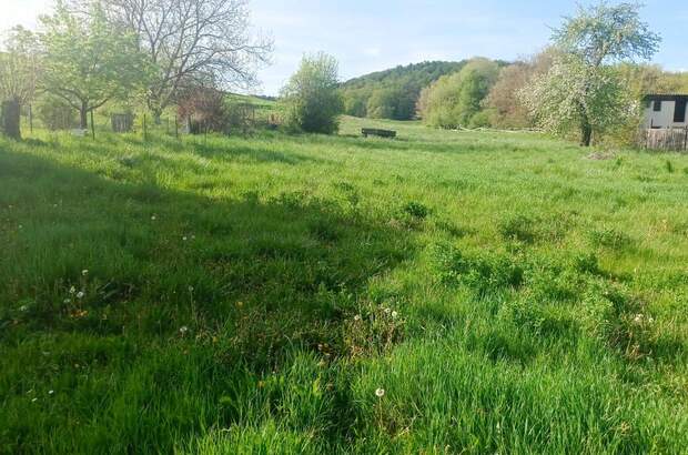 Grundstück kaufen in 7542 Sulz (Bild 1)