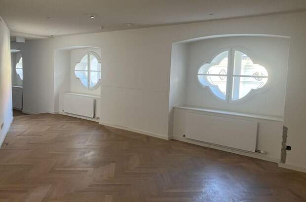 Gewerbeobjekt mieten in 1010 Wien (Bild 3)