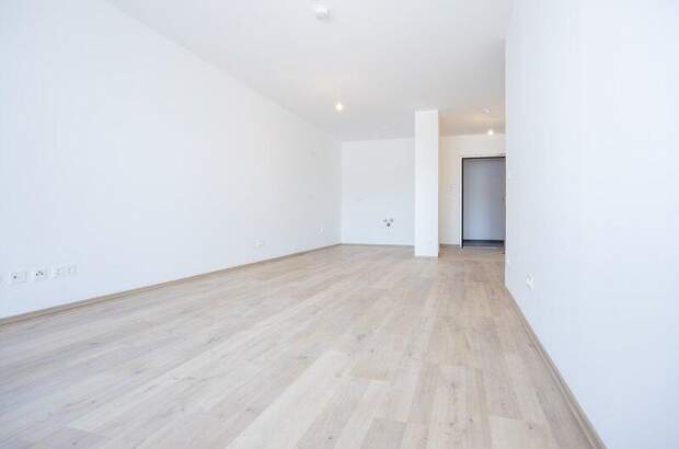 Terrassenwohnung kaufen in 2700 Wr. Neustadt (Bild 5)