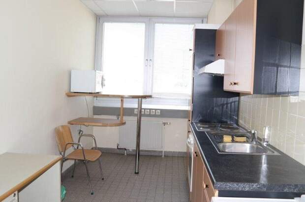 Gewerbeobjekt mieten in 1230 Wien (Bild 3)